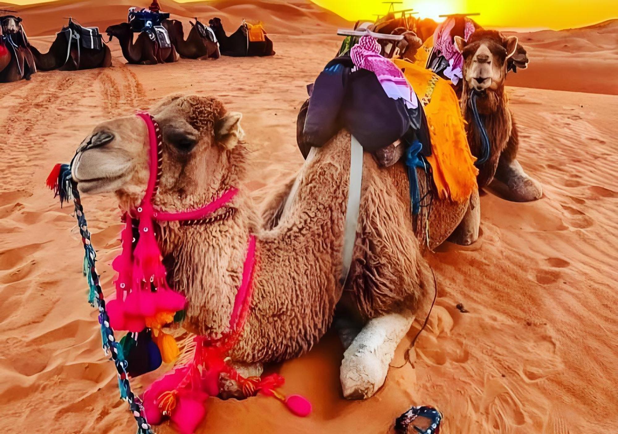 Top Desert Luxury Camp Merzuga Kültér fotó